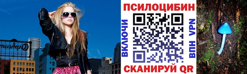 дарк нет как зайти  закладка  Калининград  Псилоцибиновые грибы прущие грибы 
